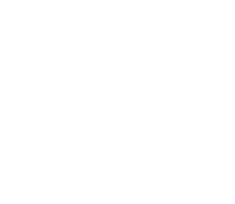 CIBV